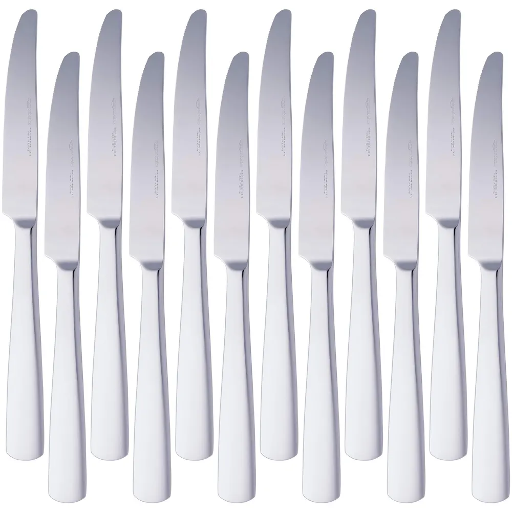 Amazon Basics Cuchillos de mesa de acero inoxidable con borde cuadrado, 12 Unidad, Plateado
